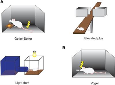 Causal Evidence for Induction of Pessimistic Decision-Making in Primates by the Network of Frontal Cortex and Striosomes